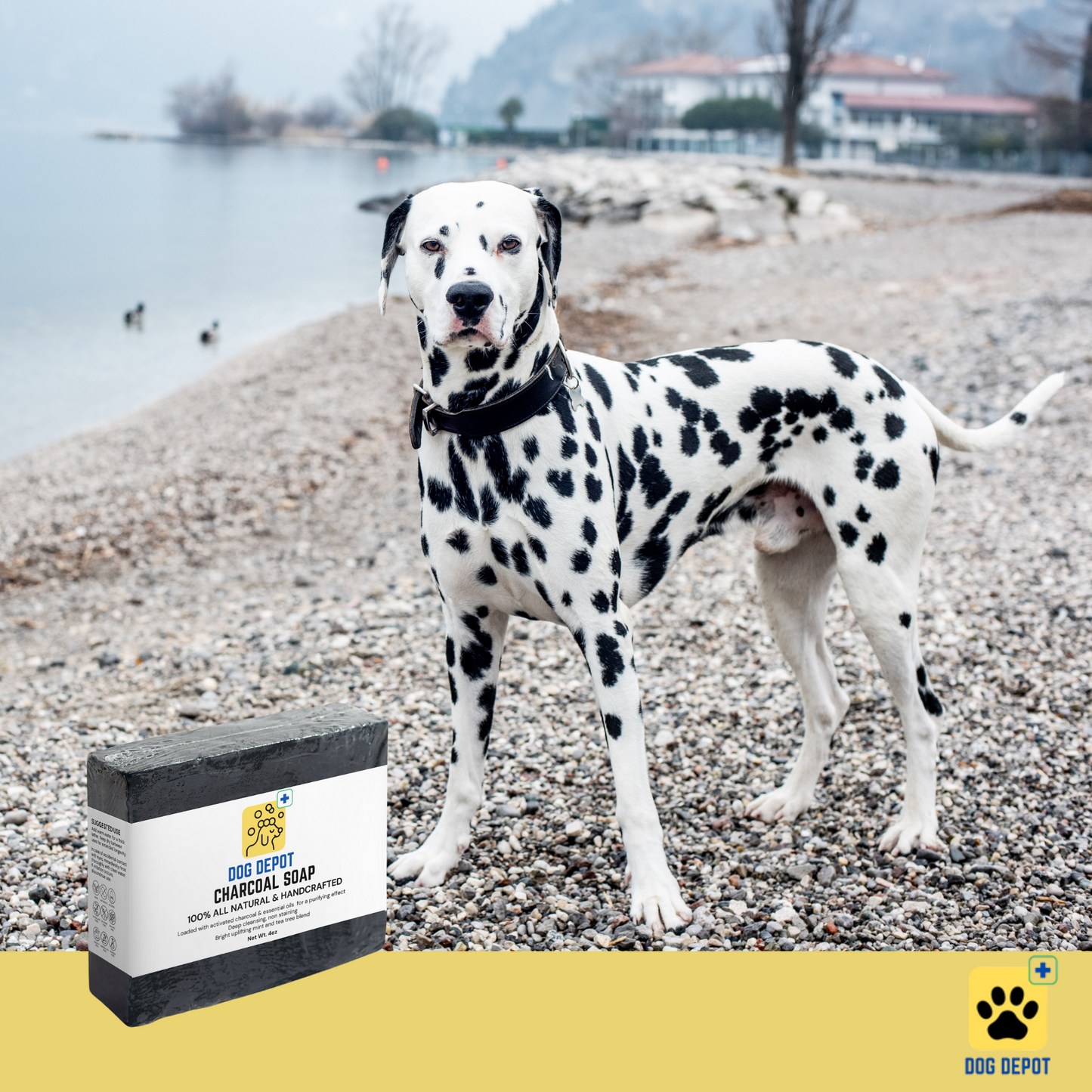 Dog Depot - All Natural Charcoal Soap