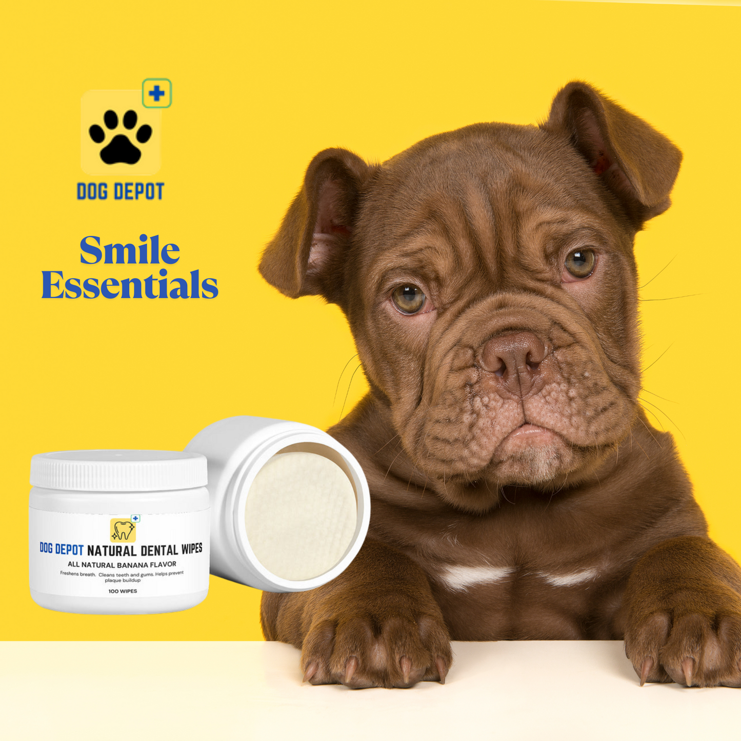 Dog Depot - All Natural Dental Wipes