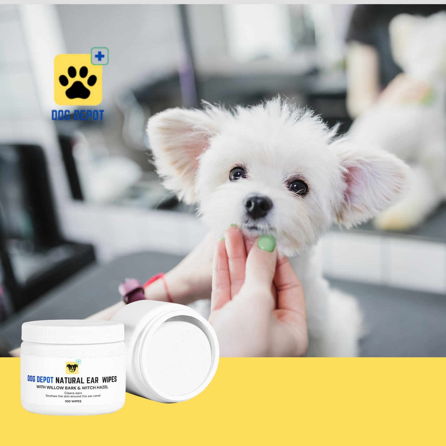 Dog Depot - All Natural Ear Cleaner Wipes