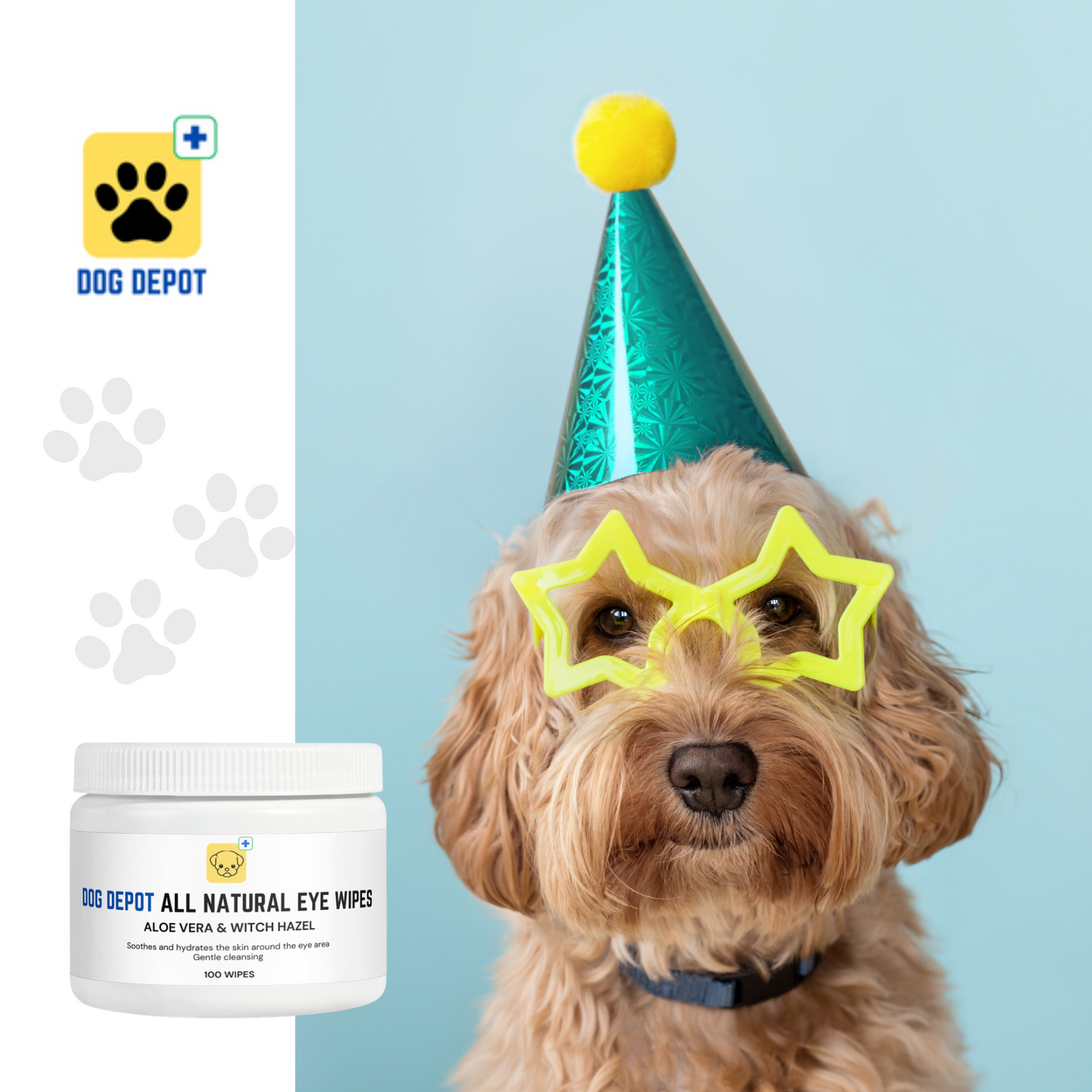 Dog Depot - All Natural Dog Eye Wipes